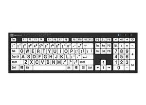 Nero Braille Kebyoard With Printed Letters.jpg