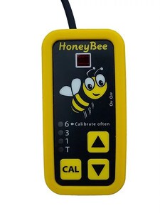 honeyBee.jpg